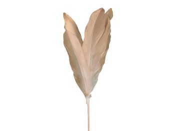 pb. 12 goose feathers/stick gold 58cm