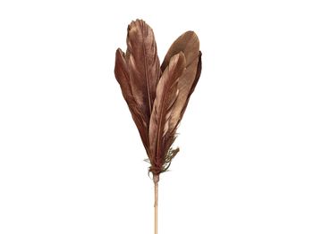 pb. 12 goose feathers/stick burgundy 58cm