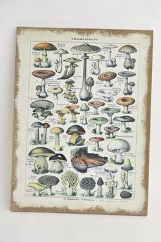 Linen wall art "Mushrooms" 58x78x2.5cm