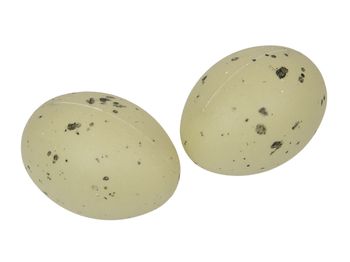 pb. 24 plastic peewit eggs green 6 cm