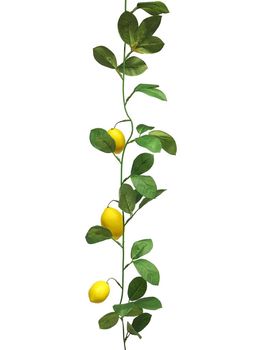 Lemon sinensis garland yellow 180cm