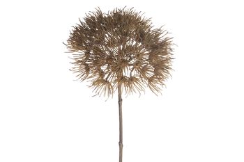 Artificial Heracleum branch 81cm Light brown