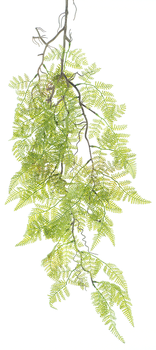 Hanging leather fern spray green 99cm