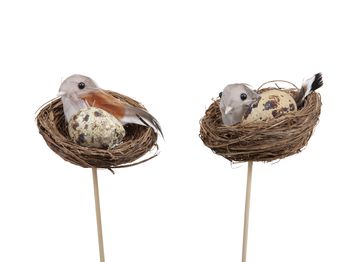 Doos á 6 nestjes met vogel en ei op stok natural Ø 7cm