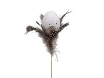 pb. 12 eggs w/feathers/stick 40cm naturalgrey 5 cm