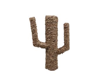pc. 1 cattail cactus natural 30x30cm