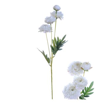 Blütenstiel 4 Zinnien D10 H61cm Weiß