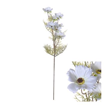 Flowerstem Cosmos 72cm White