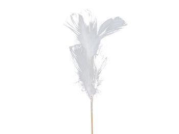 pb. 12 goose feathers/stick white 72 cm