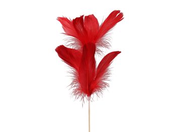 pb. 12 goose feathers/stick red 72 cm