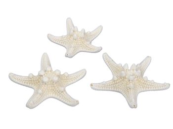 pb. 24 knobby starfish natural 5-7 cm