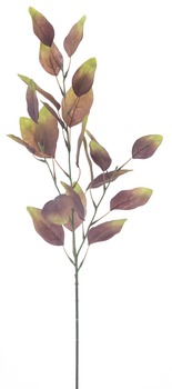 Eucalyptus spray Kamnik green 72cm