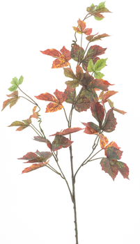 Grape vine spray orange 60cm