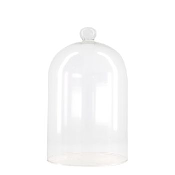 Dome glass Ø18.2x30cm Transparent