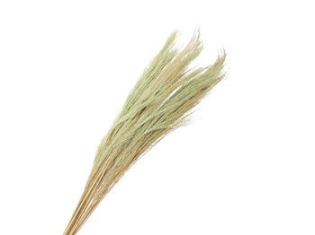 pb. broom grass 100 gr green 90-100 cm