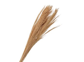 pb. broom grass 100 gr l. orange 90-100 cm