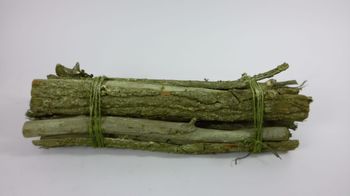 Poplar and Skinny Wood Bundle 50*15 CM GREEN FROST