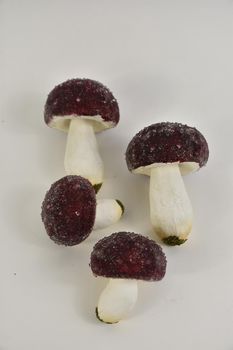 Mushroom 13cm 4pc. natural