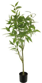 Ficus longifolia in pot green 200cm