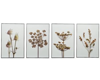 Painting mdf rectangular frame dried flowers 4 assorted L2.5