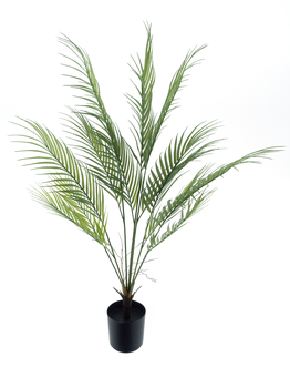 Areca palm Sara in pot green 90cm