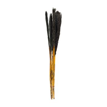 Bundle Nanal Grass 75cm Black