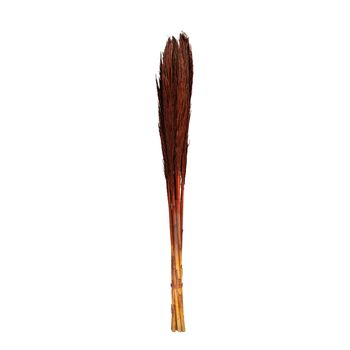 Bundle Nanal Grass 75cm Brown