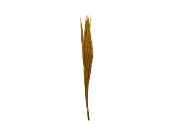 Bundle Broom Grass 100cm Natural