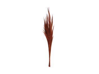 Bundle Broom Grass 100cm Terracotta