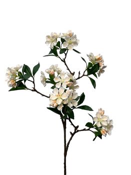 blossom noah spray 88 cm white/peach