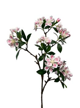 blossom noah spray 88 cm white/pink