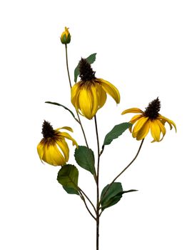 rudbeckia spray 83 cm yellow