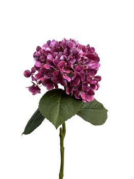 hydrangea spray 75 cm real touch purple