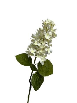 hydrangea cone 75 cm real touch cream