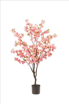 Bloesemboom in pot roze - H135 cm