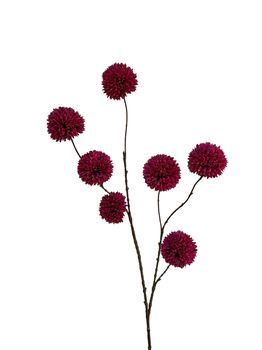 pompom spray x 7 lg 98 cm burgundy