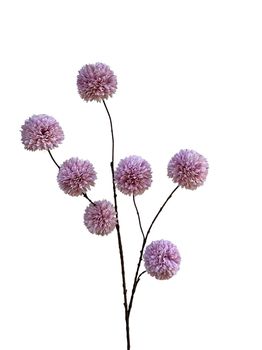 pompom spray x 7 lg 98 cm light purple