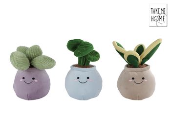 Take Me Home plant ronde pot L pluche 3 assortie 22cm