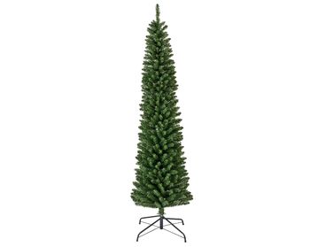 Pencil Pine tree green D80 H300 cm