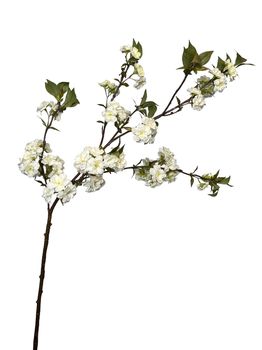 blossom spray large 132 cm white