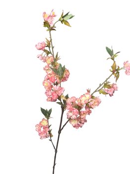 cherry blossom spray 105 cm pink