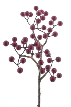 Berry pick Aulac red 26cm