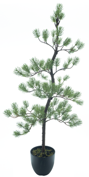 Austrian pine tree in pot green 114cm