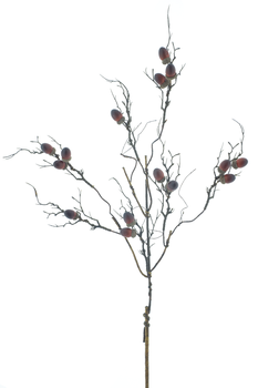 Twig spray w/acorn natural 88cm