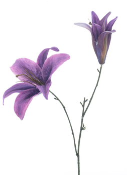 Tiger lily spray Caseros purple 67cm