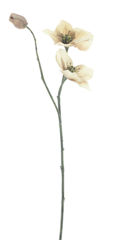 Helleborus spray Caseros brown 56cm