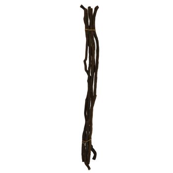 Branch liane 145cm 5pc - Natural