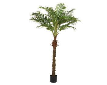 Palmboom in pot polyester groen 110x90x230cm