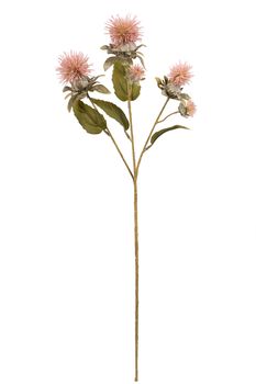 Distel x3 l55cm roze