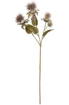 Distel x3 l55cm lila